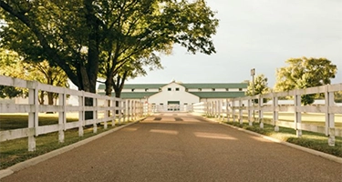 The Park at Harlinsdale Farm